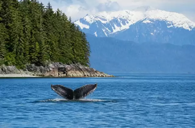 En Icy Strait Point