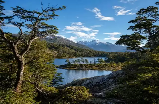 En el parque Tierra del Fuego