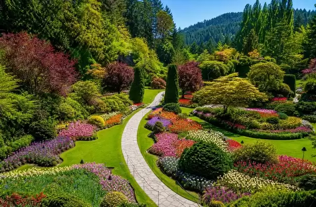 Isla de Vancouver