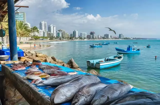 En Manta