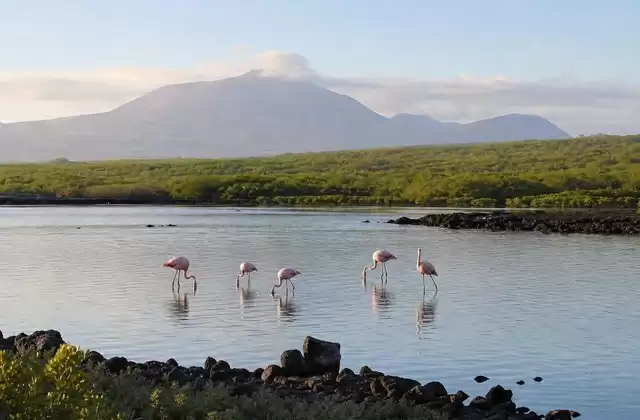 En Isabela