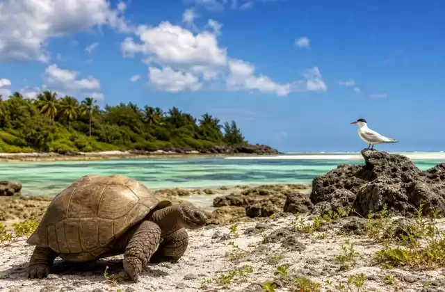 En Aldabra