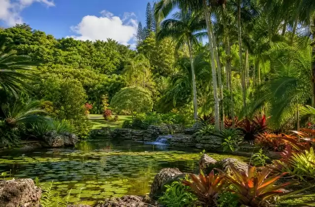 Bermuda Botanical Gardens