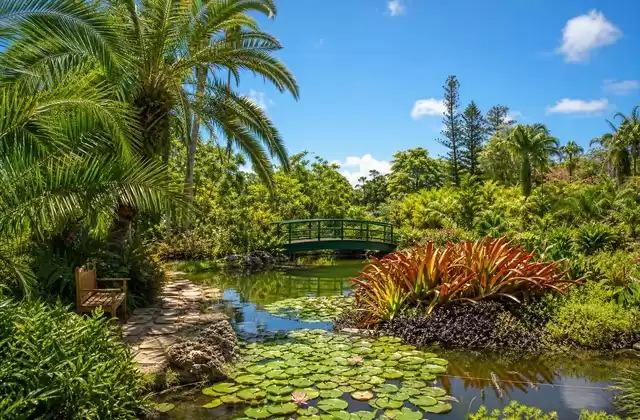 Bermuda Botanical Gardens