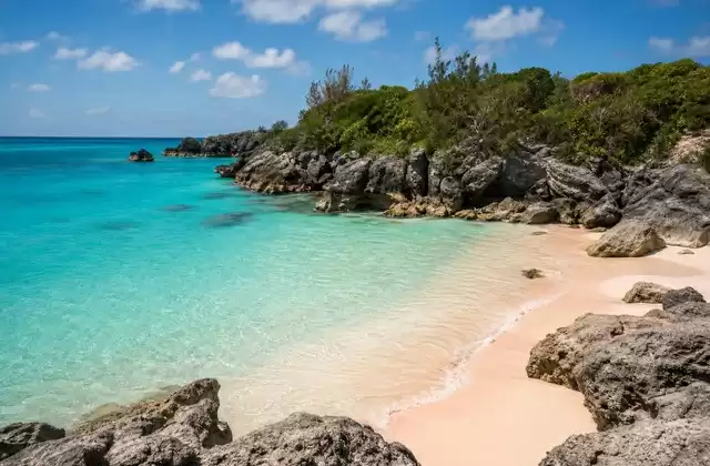 Jobson’s Cove
