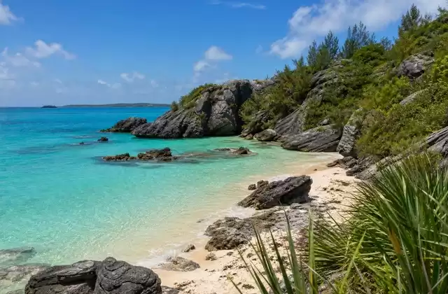 Tobacco Bay