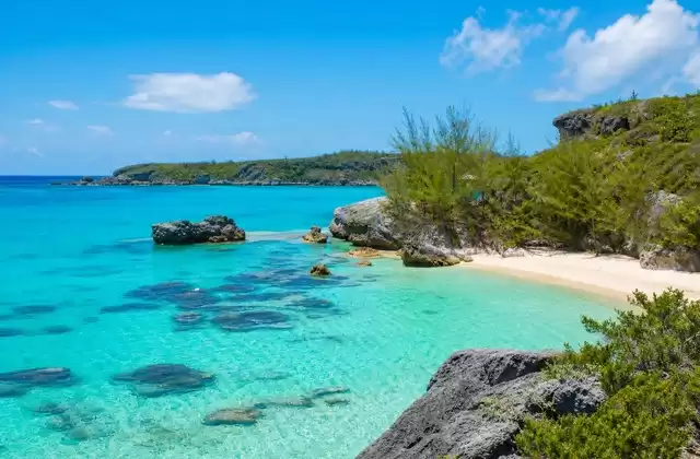 Tobacco Bay