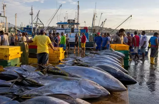 Mercado de pescado de Manta
