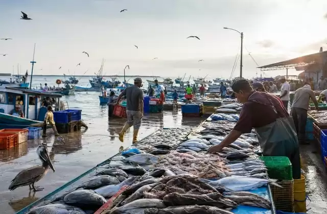 Mercado de pescado de Manta