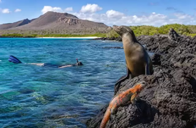 Galápagos