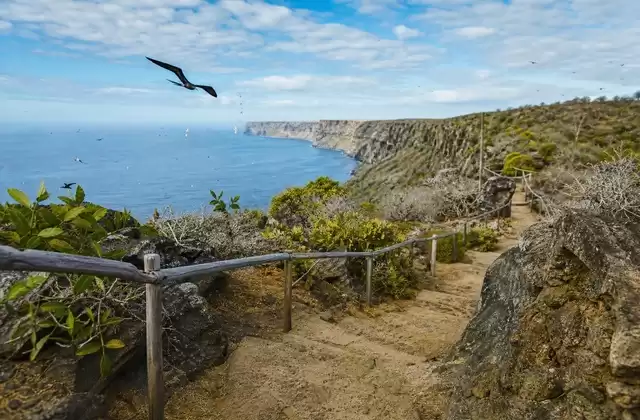 Prince Philip’s Steps